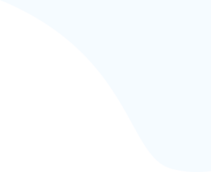 shape 31 1